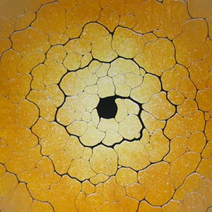 Spiralflower - Bild vergrößert anzeigen